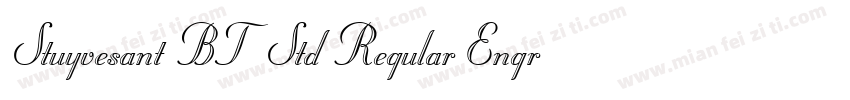 Stuyvesant BT Std Regular Engraved字体转换
